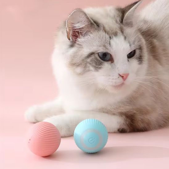 Jouet pour chat - Idéal contre l'ennui quotidien