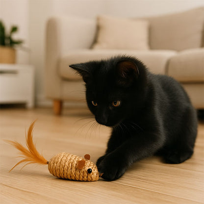 Jouet pour chat - L'accessoire parfait pour de vrais moments de complicité partagés