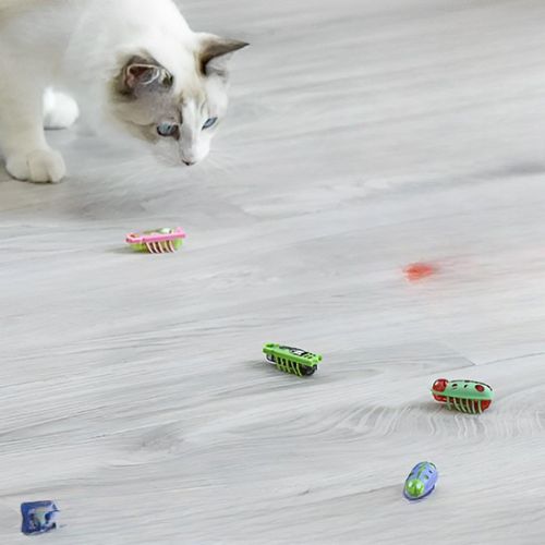 Jouet pour chat - L'exercice physique qui prévient l'obésité et maintient la forme