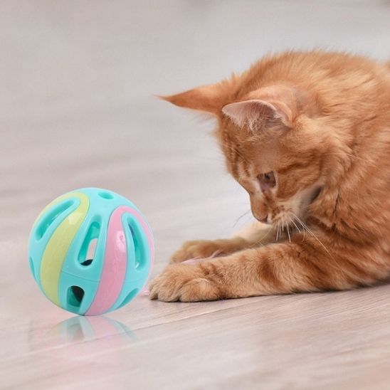 Jouet pour chat - L'exercice quotidien qui préserve leur santé.