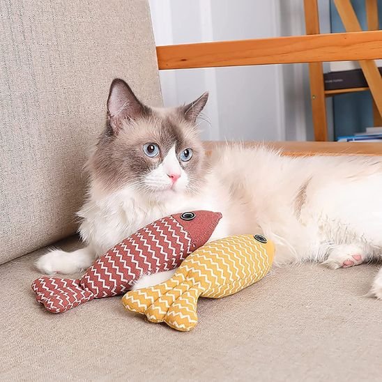 Jouet pour chat - L'expérience de chasse que votre chat mérite au quotidien avec notre jouet pour chat