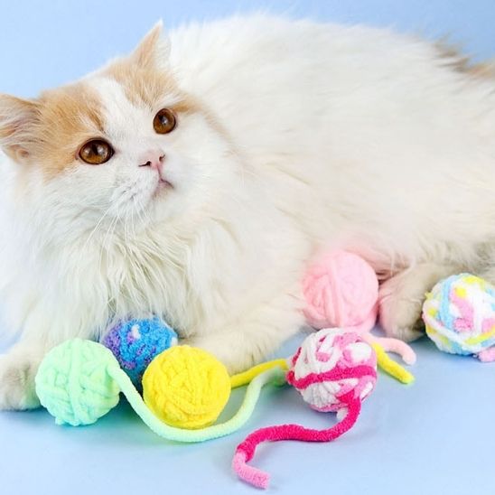 Jouet pour chat - La boule de fil colorée qui éveille tous les instincts