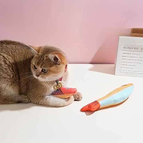 Jouet pour chat - Le secret d'un félin épanoui au quotidien
