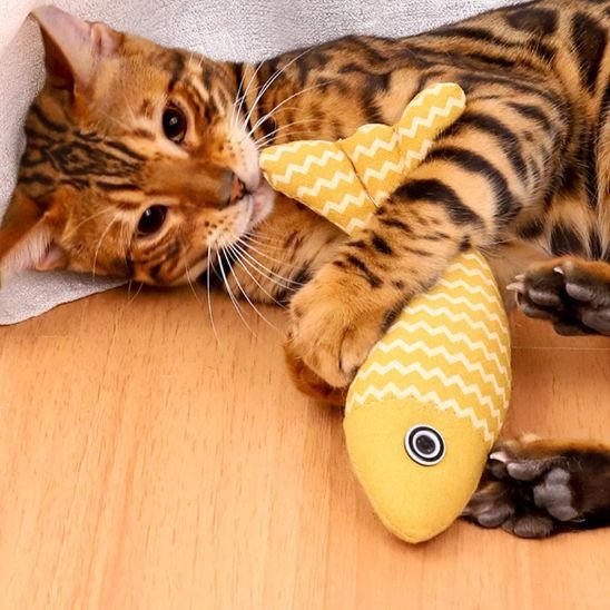 Jouet pour chat - Les bienfaits d'un jouet pour chat adapté à l'instinct félin