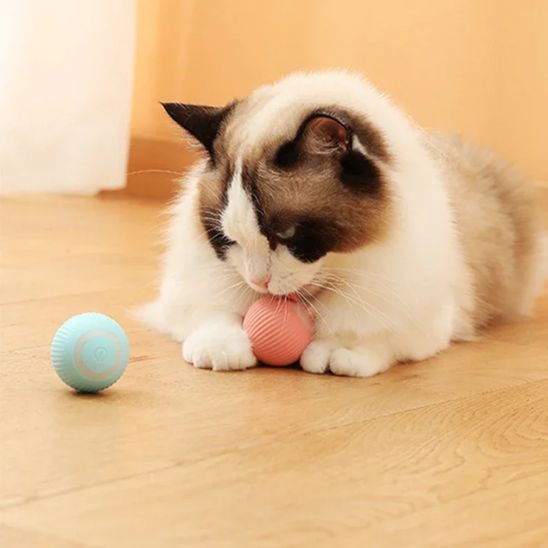 Jouet pour chat - BALLEINTELLIGENTEPOURCHAT™