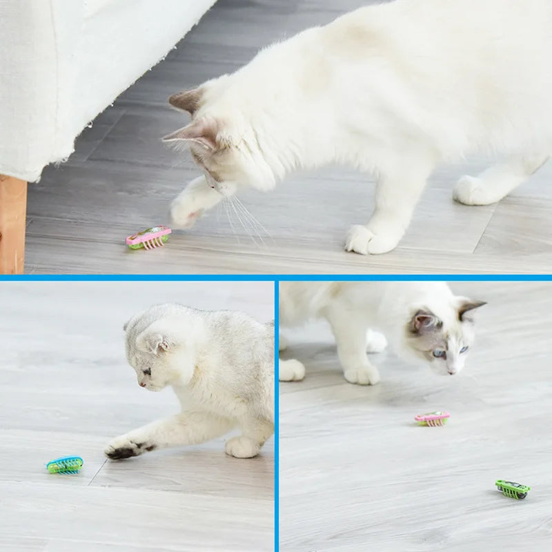 Jouet pour chat - Offrez-lui un jouet pour chat pour lui permettre d'exprimer ses instints de chasse