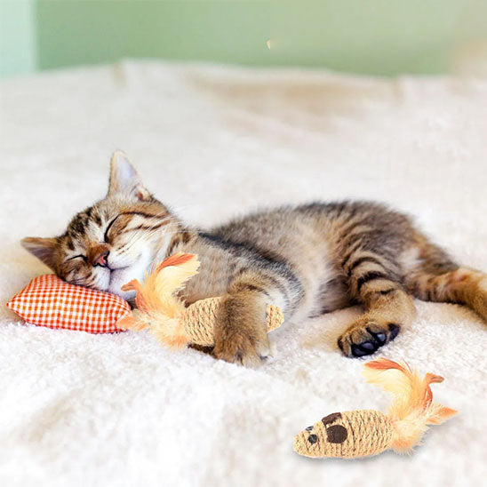 Jouet pour chat - Renforce votre complicité au quotidien