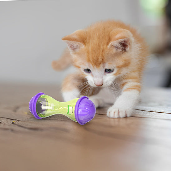 Jouet pour chat - Solution ludique pour un félin heureux et actif