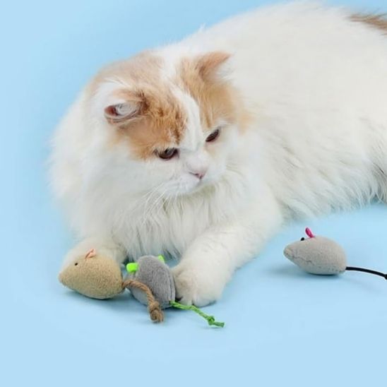 Jouet pour chat  - Souris en peluche pour stimuler et divertir votre félin