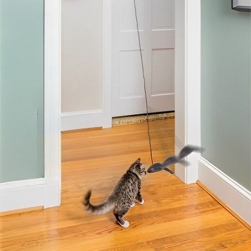 Jouet pour chat  Éveillez l'instinct naturel de votre félin 
