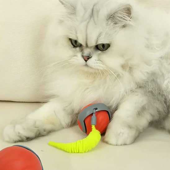 Le jouet chat interactif idéal pour prévenir l'obésité féline