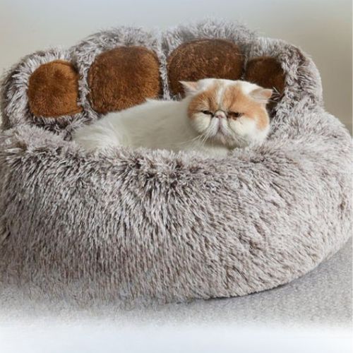 Lit pour chat_ Sommeil