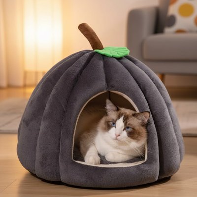 Maison chat - Chaque élément a été pensé pour vous simplifier la vie