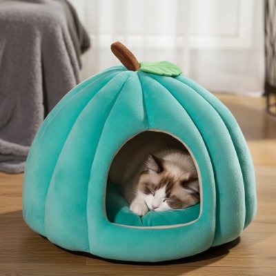 Maison chat - Gagnez en sérénité avec un entretien simplifié
