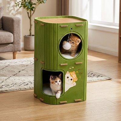 Maison des chats - Transformez vos mètres carrés en territoire d'exploration vertical