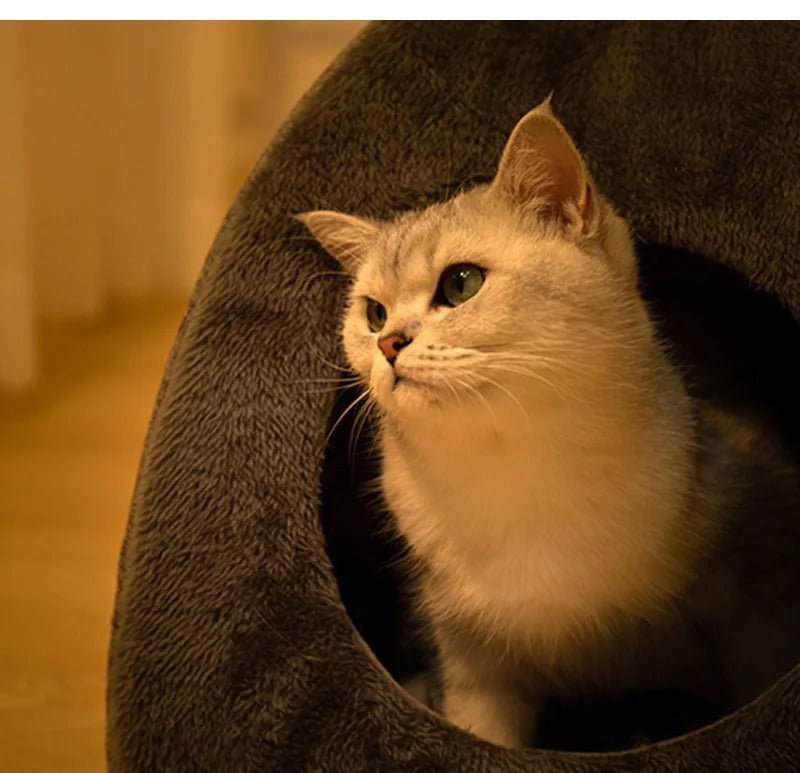 Maison pour chat - TRIANGLACHAT™ - CHATS