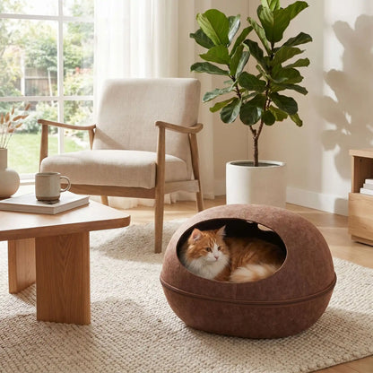Maison pour chat - Café