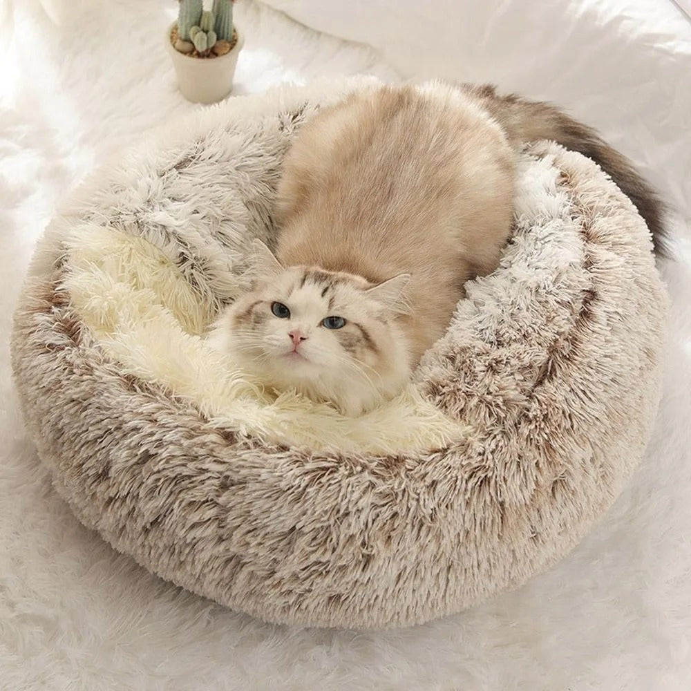 PELUCHAT - Coussin chat - Adieu les poils partout dans votre maison - CHATS