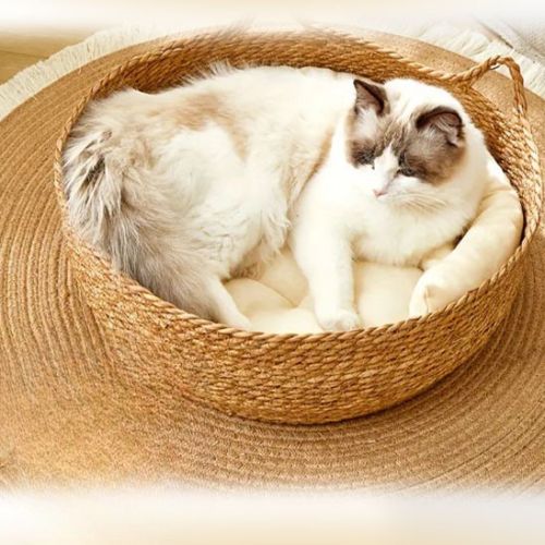 Panier en osier pour chat - Fini les poils partout dans votre maison