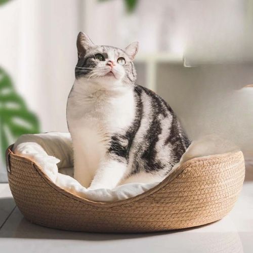 Panier en osier pour chat - Endroit confortable