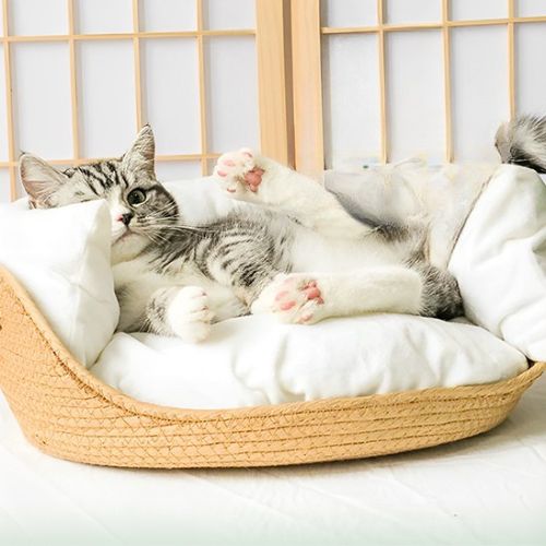 Panier en osier pour chat - Robuste