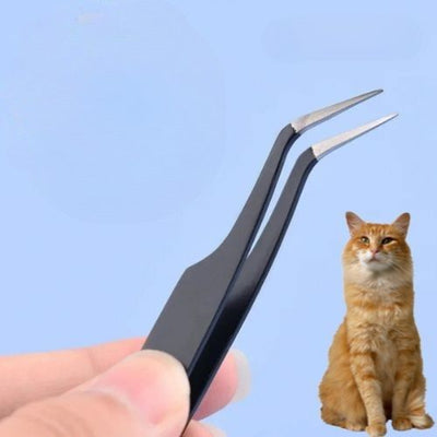 Pince à tique - Extraction complète