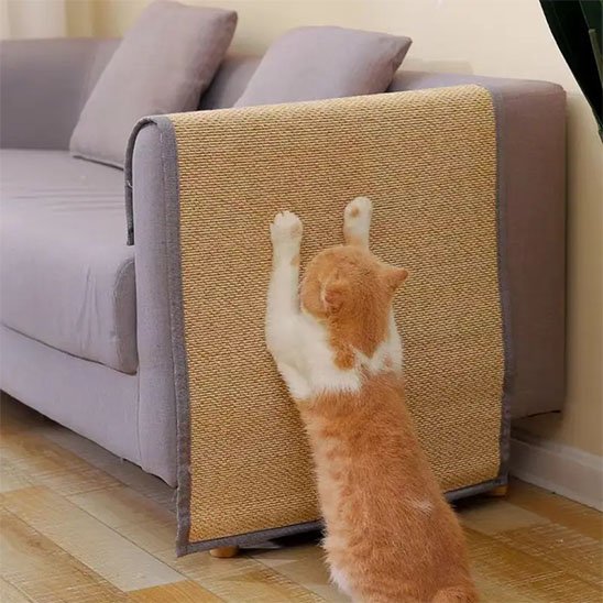 Protection canapé chat - Conciliez esthétique intérieure et besoins félins