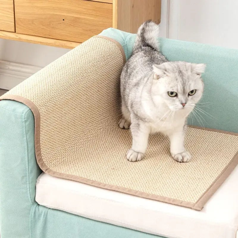 Protection canapé chat - Extrêmement résistants