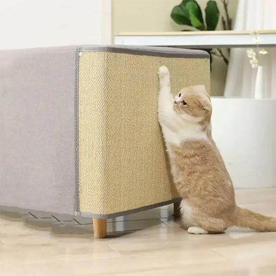 Protection canapé chat - Préservez vos meubles sans sacrifier le confort de votre chat