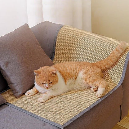 Protection canapé chat - Retrouvez la complicité avec votre animal sans stress