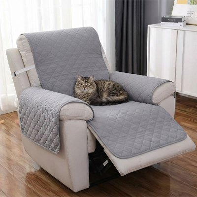 Protection canapé chat - Un bouclier élégant qui prolonge la vie de votre mobilier