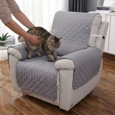 Protection canapé chat - Une harmonie visuelle qui s'intègre à votre décoration