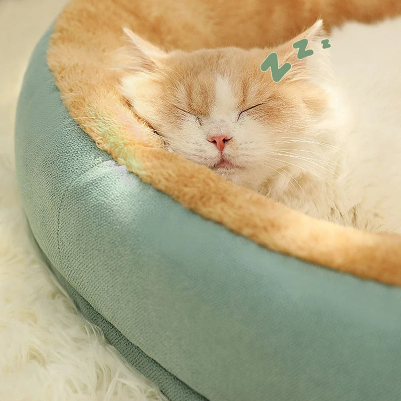 Coussin à chat - Repos