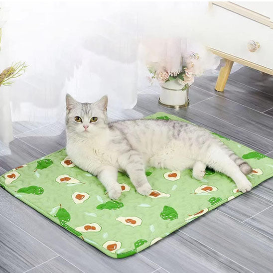 Tapis chat - Protection efficace contre griffures et accidents
