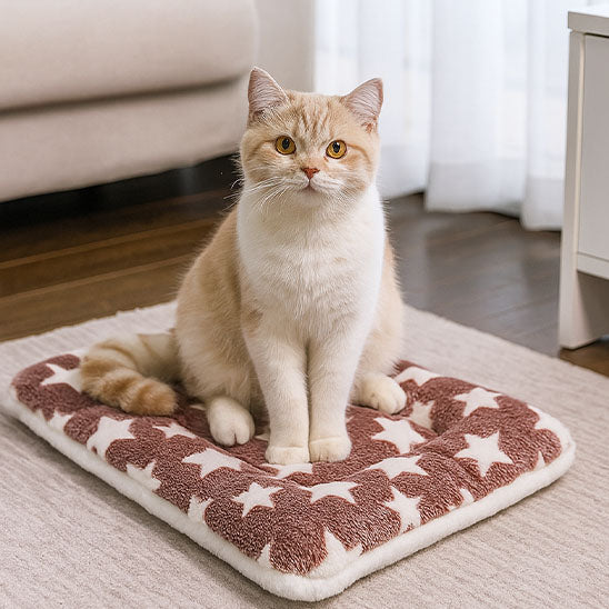 Tapis chat - Caractéristiques