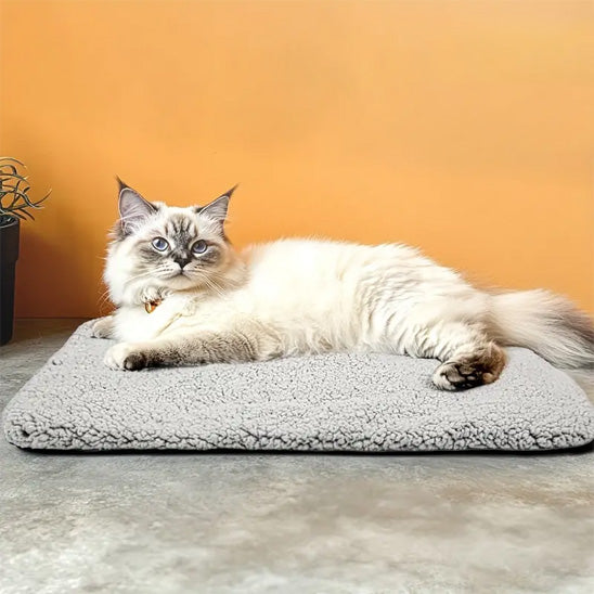 Tapis chauffant chat - Pourquoi choisir un tapis chauffant chat en hiver