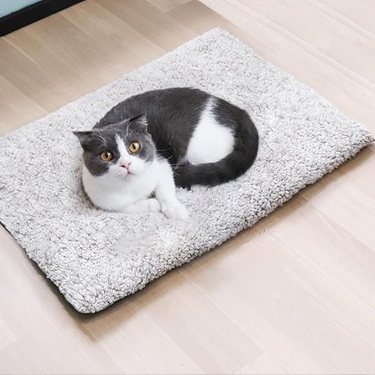 Tapis chauffant chat -  Un cocon de confort quotidien