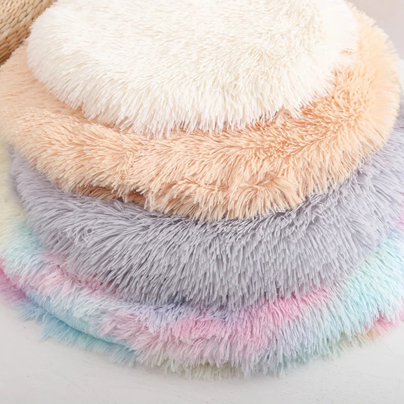 Tapis chauffant chat - Améliorez grandement votre quotidien et celui de votre félin