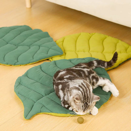 Tapis chauffant chat - Confort douillet pour votre félin