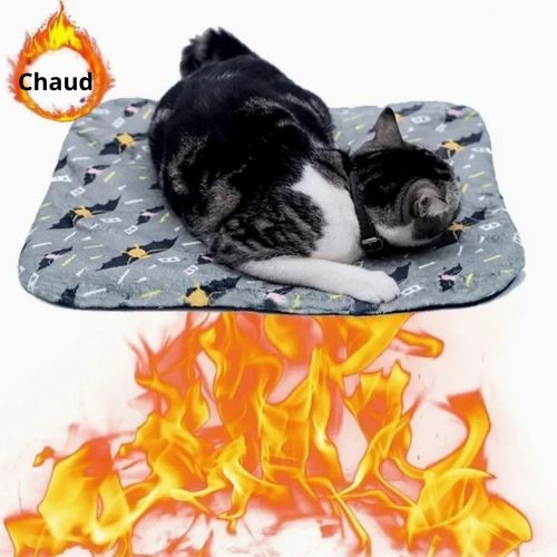 Tapis chauffant chat - Confort hivernal pour votre félin frileux