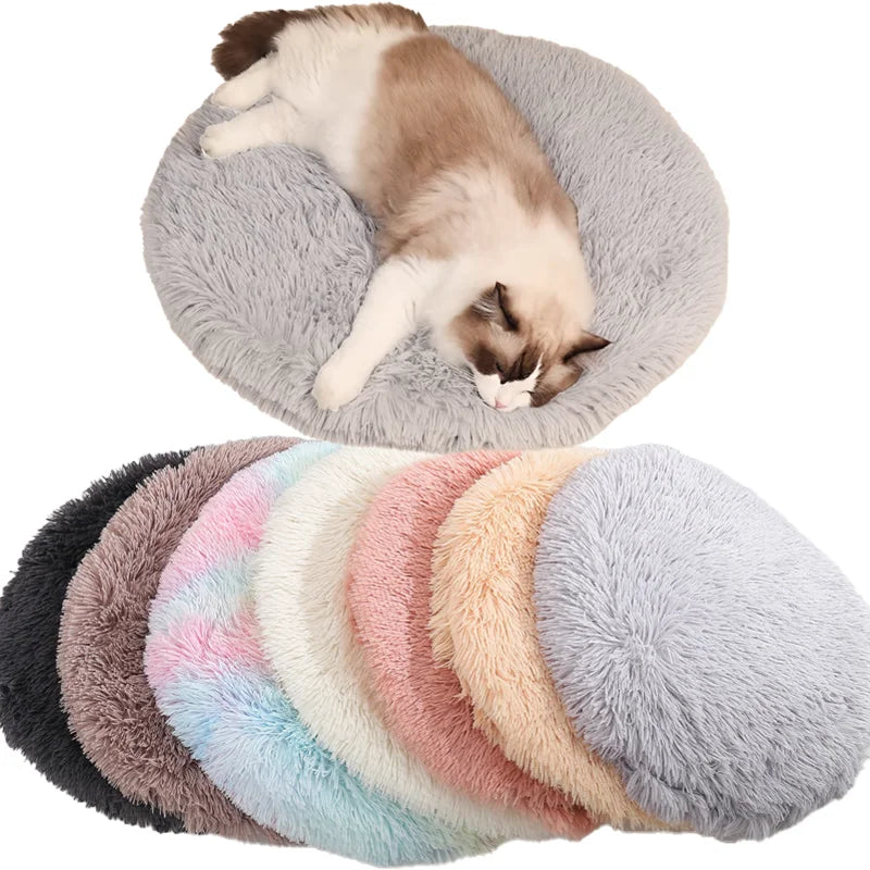 Tapis chauffant chat - La chaleur réconfortante qui transforme l'humeur de votre félin