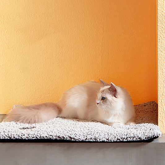 Tapis chauffant chat - Le confort hivernal pour votre félin