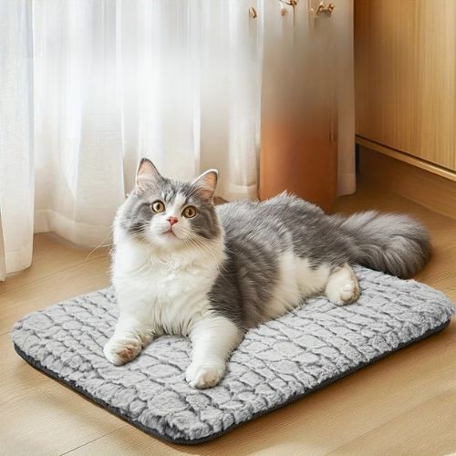 Tapis chauffant chat - Le tapis chauffant chat comme solution pratique quotidienne