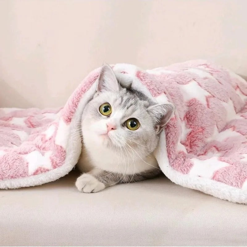 Tapis chauffant chat - Retrouvez un intérieur harmonieux