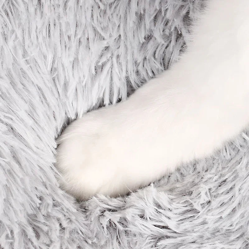 Tapis chauffant chat, - Un allié propreté insoupçonné