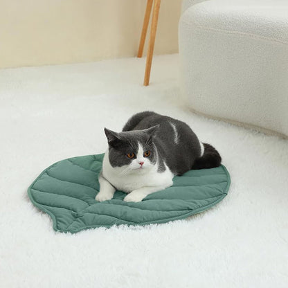 Tapis chauffant chat - Vert