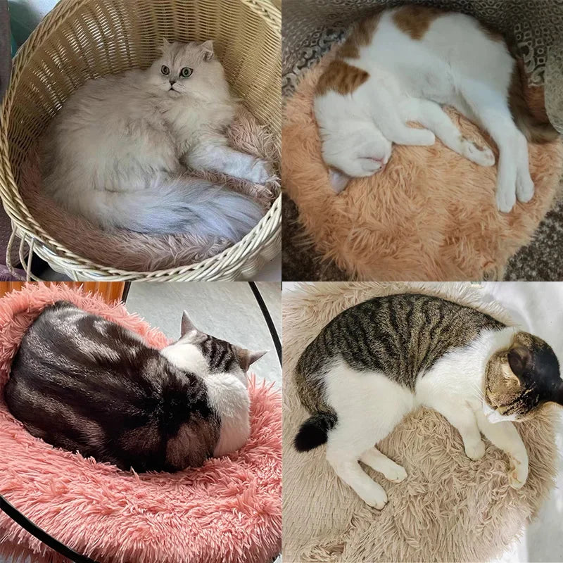 Tapis chauffant chat  L'indispensable cocon douillet pour votre félin