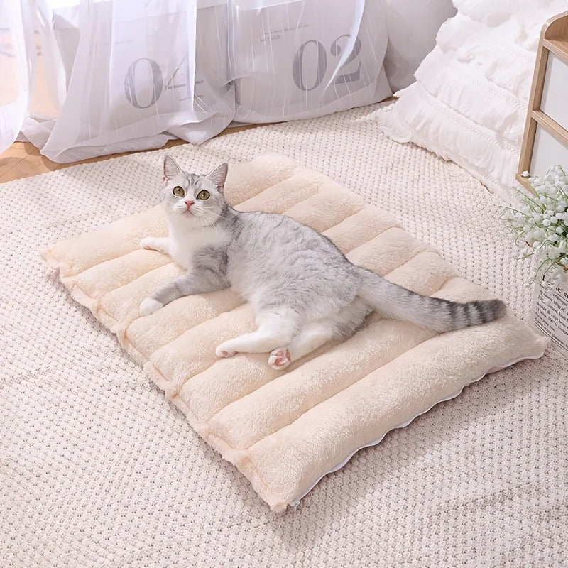 Tapis chauffant chaton - Un vrai changement dans son quotidien