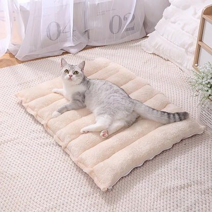 Tapis chauffant chaton - Un vrai changement dans son quotidien