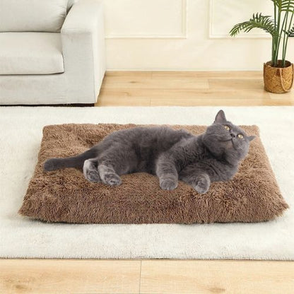 Tapis chauffant pour chat - COUVERTURACHAT™ - CHATS
